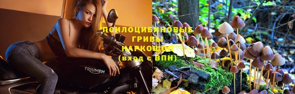амф Алзамай
