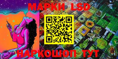 PSILOCYBIN Гатчина