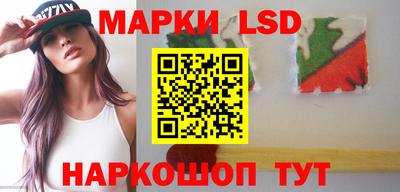 PSILOCYBIN Гатчина