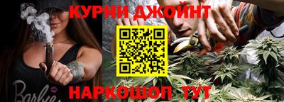 PSILOCYBIN Гатчина