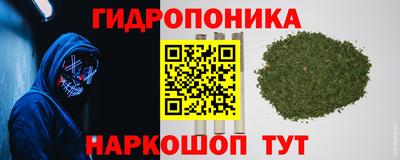 экстази Гай