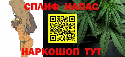 PSILOCYBIN Гатчина