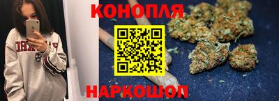 PSILOCYBIN Гатчина