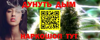 PSILOCYBIN Гатчина