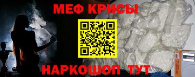 PSILOCYBIN Гатчина
