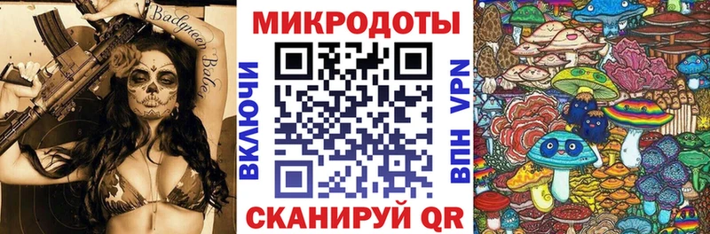 где продают   Калининград  Псилоцибиновые грибы MAGIC MUSHROOMS 