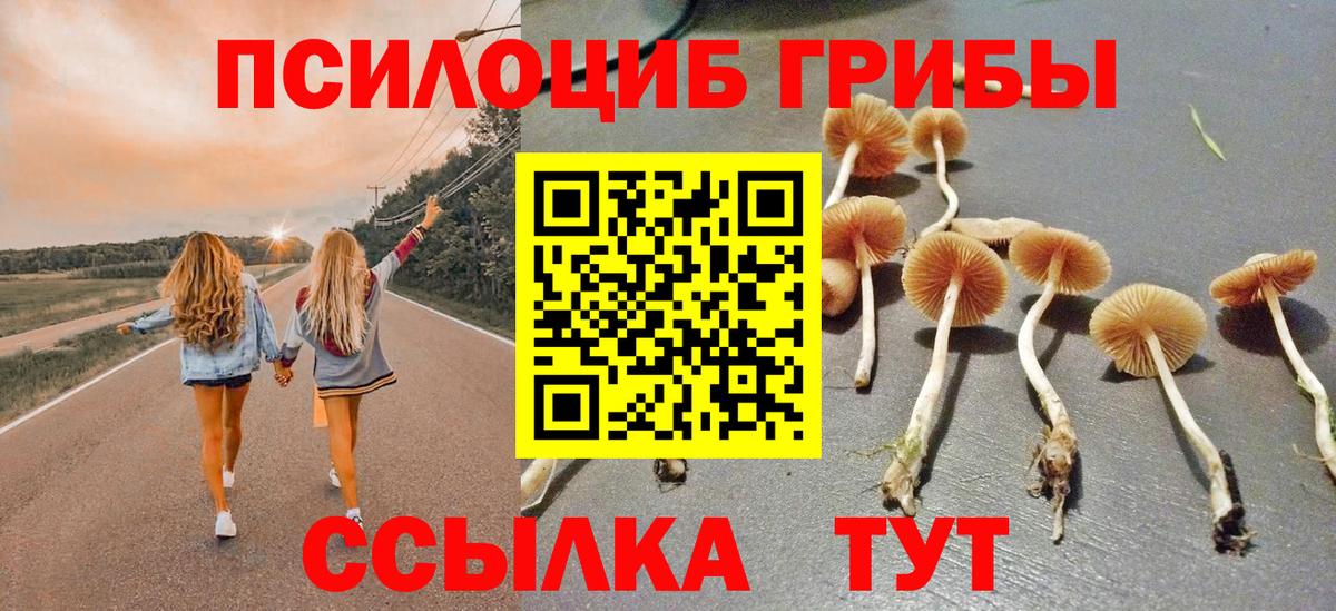 Галлюциногенные грибы Cubensis  Вход с VPN  Калининград 
