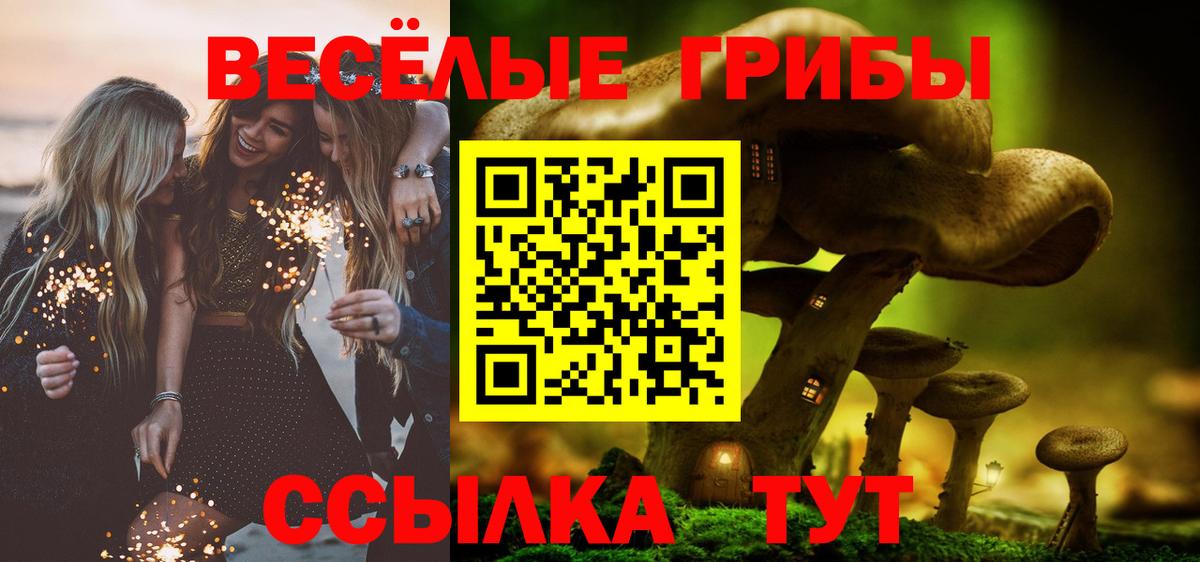 Галлюциногенные грибы Psilocybe Калининград